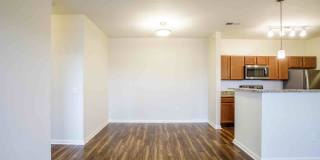 Commonwealth at 31 Gallery 29