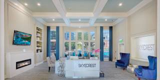 Skyecrest Gallery 16