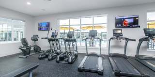 West Shire Village Gallery 32