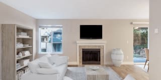 Avana Chestnut Hill Gallery 4