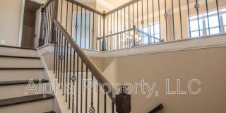 14 Ossabaw Loop Gallery 20