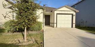 9951 Spotted Rose Gallery 1
