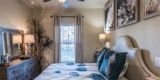 Century Palm Bluff Gallery 40