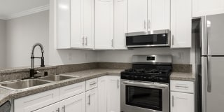 Palms Court Gallery 16