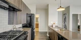 Arrive Lex Gallery 51