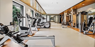 The Verge Gallery 14