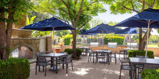 Homecoming At Eastvale Gallery 15