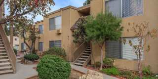 Sun Valley Gardens Apartments | Comfortable Living in El Cajon, CA Gallery 16
