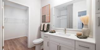 Alta Citron Gallery 48