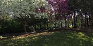 Great 4 bedroom home in Red Cedar Canyon Gallery 3