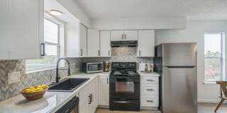 Hill Country Duplex - 1/2 Acre - Oak Hill -  Cool 2Bd 1.5 BA - Totally Remodeled - Carport - $1700 Gallery 5