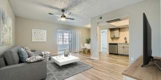 Rise Spring Pointe Gallery 42