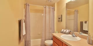 Springs at Palma Sola Gallery 19