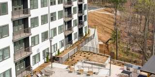 Novel Cary Gallery 28