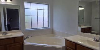3724 Dove Hollow Ln Gallery 4