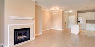 9480 VIRGINIA CENTER Boulevard unit: 308 Gallery 9