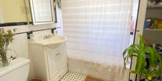 Beautiful 3 Bed/ 1 Bath Available 9/1/26 Gallery 17