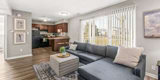 Oakbrook Village Gallery 1