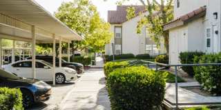 Legends of Rancho Belago Gallery 87