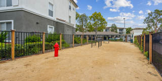 Avery at Moorpark Gallery 24
