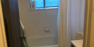 1B/1B Pet Friendly Apartment South of BYU Gallery 1