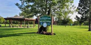 CDA Place Neighborhood- 4 bed with basement, cul de sac Gallery 35