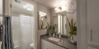 Icon on Central Gallery 4