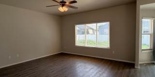 Premium Fort Collins Living with Space to Grow |4-Bedroom Home Gallery 5