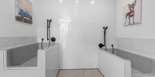 Solena Miramar Gallery 35