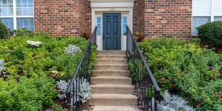 Willow Oaks Gallery 41