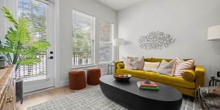 NOVEL Morrisville Gallery 28