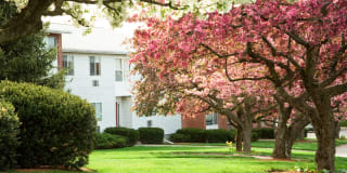 Ridgecrest Village Gallery 8