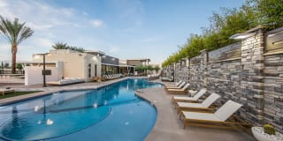 Tanager Tanager Gallery 5