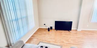 For Rent: Spacious 3 Bed / 2 Bath Single-Family Home in Bayside Lakes Gallery 5