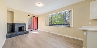 22 Vandewater Gallery 2