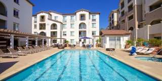 Torrey Gardens Gallery 16