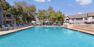 Polo Club Polo Club Gallery 18