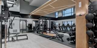 Compass at The Grove Gallery 32