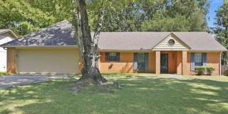 122 Cumberland Road Gallery 1