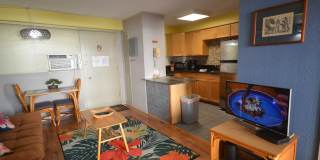 417 Nohonani Street - 405 Gallery 3
