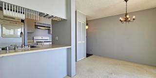 1571 Piikoi Street #1405 - 1405 Gallery 5