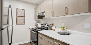 The Grove Gallery 11