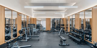 Coconut Palm Club Gallery 32