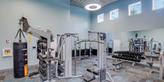 Town Walk at Hamden Hills Gallery 25