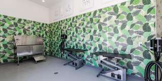 Solara Vista Gallery 34