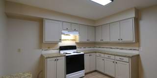 Updated, Spacious 3 Bedroom, 2 Bath Duplex in Whitehouse ISD! Gallery 7