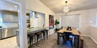 29608 TERRA VIS Gallery 4