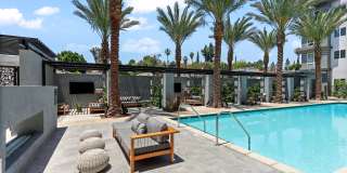 Array La Mesa Gallery 9