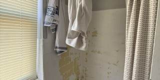 156 W 8th Ave Gallery 12