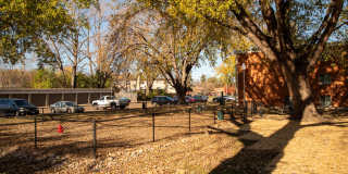 Regency Park Gallery 17